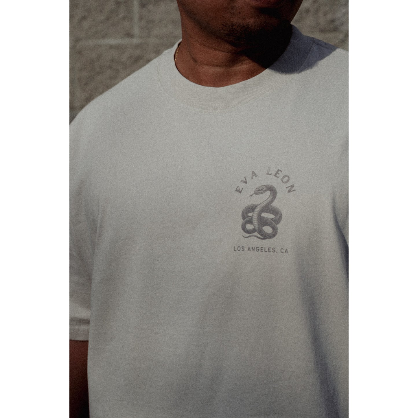 OVERSIZED "YEAR OF THE SNAKE" BOXY TEE